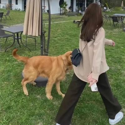 刘老根2