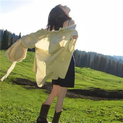 九霄龙吟传