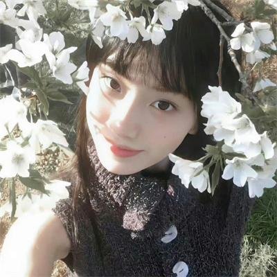 花姊妹风流债